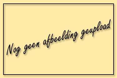 Voorbeeld afbeelding.